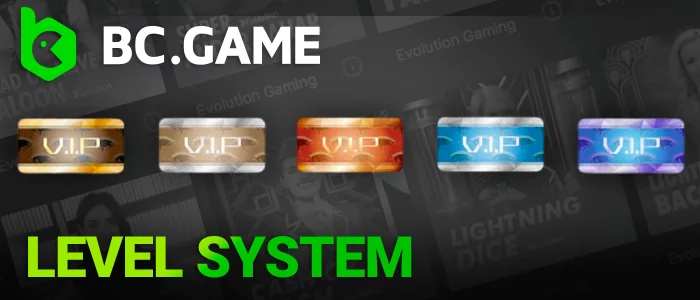 Understanding the VIP Level System at BC Game India