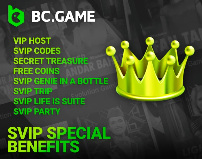 An Overview of Exclusive SVIP Benefits at BC Game India