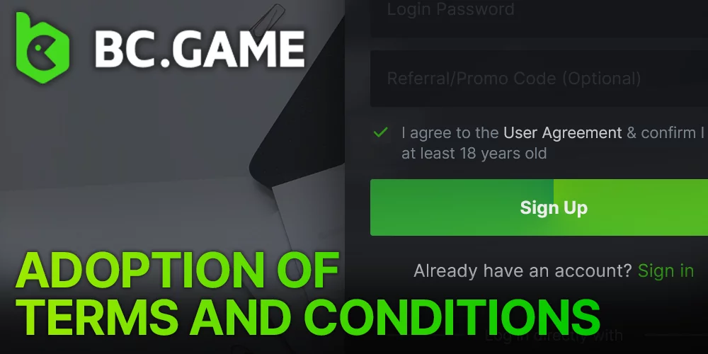 Agreeing to the BC Game casino terms and conditions