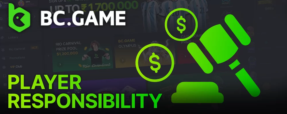 Player responsibilities and liabilities at BC Game casino