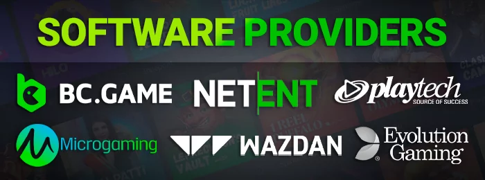 Prominent software partners at BC Game, including giants like Evolution Gaming, Wazda, Microgaming, Playtech, and Netent.
