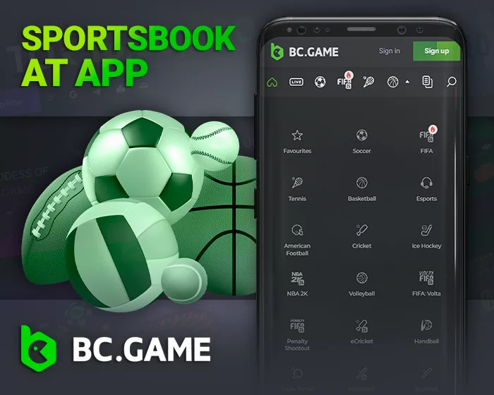 Available sports for betting on BC.Game: Football, Cricket, Tennis, Basketball, and more