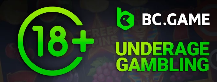 BC Game Casino: Strictly for Adult Players