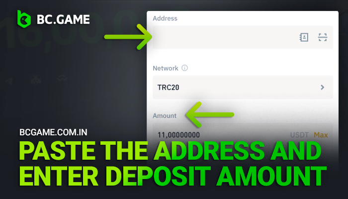 Providing your crypto wallet information to complete the BCGame deposit